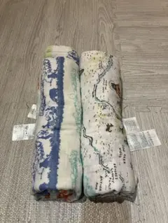 Item thumbnail for item fef492ce-3cdb-4267-94ca-d481078249c3