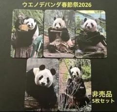 2026年最新】ウエノデパンダ春節祭の人気アイテム - メルカリ