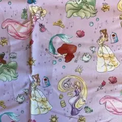 【輸入生地】110x45cm プリンセス ドリーム