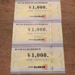 ビックカメラ　株主優待　お買物優待券　3000円分