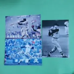 カルビープロ野球カード【1979年版】阪神タイガース真弓明信選手2枚