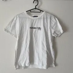 ZARA Manhattan Valley Tシャツ L ホワイト