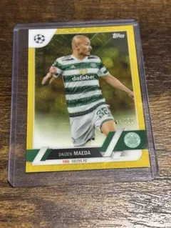 Item thumbnail for item 74fd4a25-8355-4789-b14e-44492a546c68