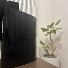 動作確認済　PS3 本体 CECH-4300C 500GB コントローラー