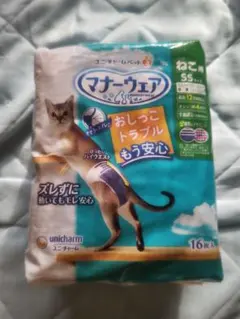 Item thumbnail for item 2caeae01-c143-4e19-a213-924308e5a290