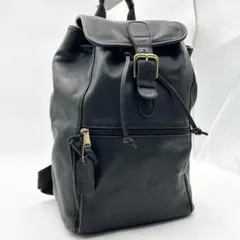 希少 オールドコーチ リュック ビジネスバッグ A4収納可 レザー 黒 大容量