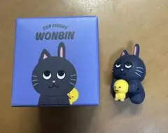 キャラクター カップ フィギュア ウォンビン トニャンドク RIIZE