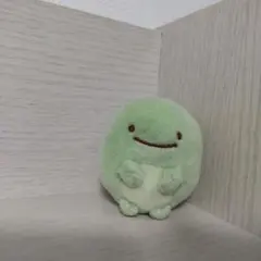 すみっこぐらし本物のトカゲです。