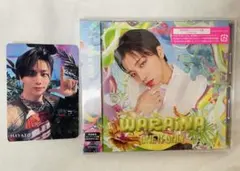 ワンエン ワンエンオンリー WARAiNA CD トレカ HAYATO