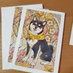 ノスタルジアコレクション ランダムコレクションカード コレカ　黒井しば