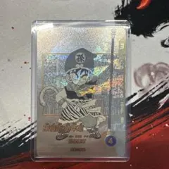 【完全美品】アドバンスパック APT-007 孫悟飯 幼年期 パラレル