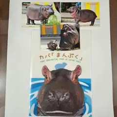 カバのまんぷくセット(とべ動物園時代)　クリアファイル&ポストカード