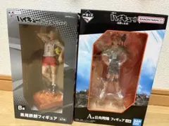 ハイキュー!! フィギュア 孤爪研磨 日向翔陽 2種セット 烏野の未来 音