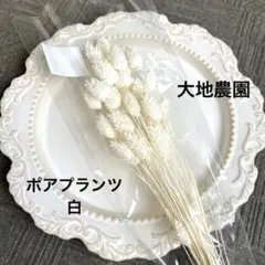 済　ひぃ様　ご専用