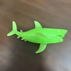 のびーる　最強リアル　海のいきもの　ツマグロ