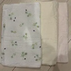 Item thumbnail for item 2dbeebf9-5807-4668-a397-224b9091dae0