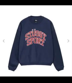 STUSSY RELAXED OVERSIZED CREW 22AW Mサイズ