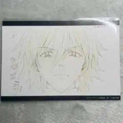 渚カヲル　エヴァ　エヴァンゲリオン　ポストカード　絵コンテ　原画