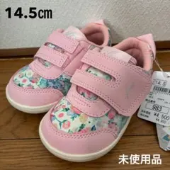 Item thumbnail for item d122525a-3fd3-490a-982d-d283ee607928