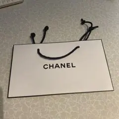 CHANEL ショップ袋 約24-14-7cm
