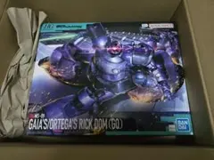 HG GQuuuuuuX リック・ドム ガイア機/オルテガ機(GQ)