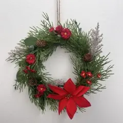 ポインセチア クリスマス