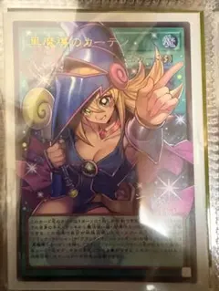 田*介様 遊戯王OCG 黒魔族のカーテン　白き幻獣　青眼の白龍 田*介様 遊戯王OCG 黒魔族のカーテン 白き幻獣 青眼の白龍 - メルカリ