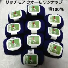 ハマナカ毛糸 毛100％ リッチモア ウオーモ ワンナップ 10玉①