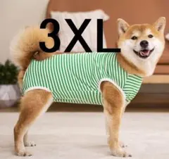 Item thumbnail for item efb81ad0-ff32-43f5-8099-ef4f8d135bbe