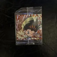 ハンター×ハンター ウエハースHH3-24【HR】ゴン