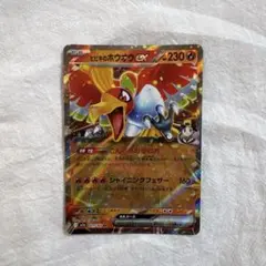 ヒビキのホウオウex RR MEGAドリームex … 加工エラー品 ポケモンカード メガドリームex RR ヒビキのホウオウex - メルカリ