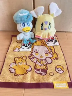 ポケモンぬいぐるみ クワッス ヒラヒナ タオルセットのサムネイル
