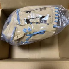 埼玉西武ライオンズ 西川愛也 キッズグローブ