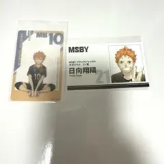 Item thumbnail for item 5da6a6f5-dfc4-4e0a-9c65-6a9e313c17c7