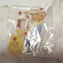 ディズニー プリンセス 一番くじ 美女と野獣 アクリルチャーム