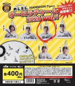 HANSIN Tigers オーロラチャーム 2026 vol.1 - メルカリ