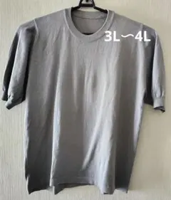 レディース　ニット　半袖