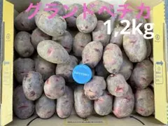 2026年最新】じゃがいも デストロイヤーの人気アイテム - メルカリ