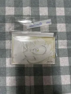 히로아카 아크릴 블록 미도리 타니 히사