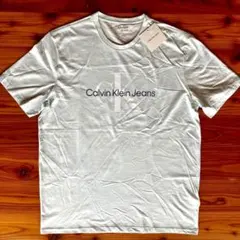 Calvin Klein Jeans カルバンクライン Tシャツ L 海外限定