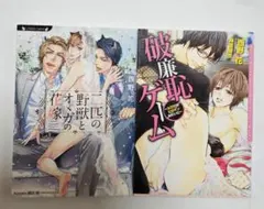 西野花「二匹の野獣とオメガの花嫁」他 bl小説2冊