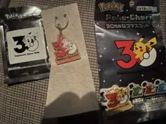 ポケモン 30周年ロゴマスコット ヒバニー キーホルダー