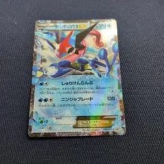 サトシゲッコウガEX P 次世代WHF'16 Winter 来場者特典 キラ … - メルカリ