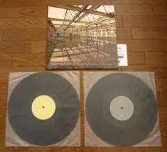 Insecto / Post Edit De Un Cromosoma