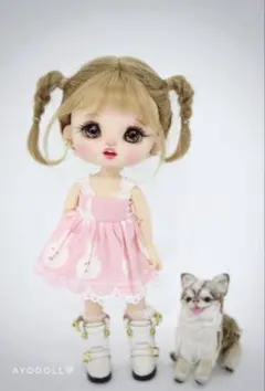 ふわりん☺︎︎❤︎さま専用　dayuanbao風doll・ブライスアウトフィット dayuanbao風ドールサイズ アウトフィット - メルカリ