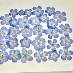 c:@断捨離中様 リクエスト 2点 まとめ商品