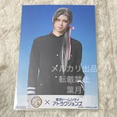 刀ミュ 東京ドームシティ コラボフード ブロマイド 大般若 京典和玖