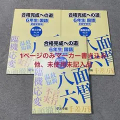 浜合格完成への道6年国語(家庭学習用)7冊中の第6分冊(※昔ver.)(裁断済