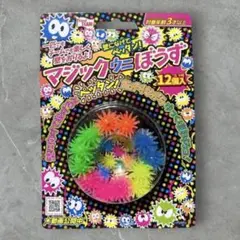 【SNSで話題】入手困難！新品未開封マジックウニぼうず　12個入くせになる感触⑵のサムネイル