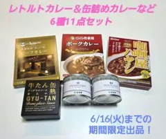 レトルトカレー＆缶詰めカレーなど6種11点セットのサムネイル